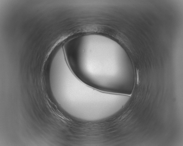 X0000052630723200507011033
