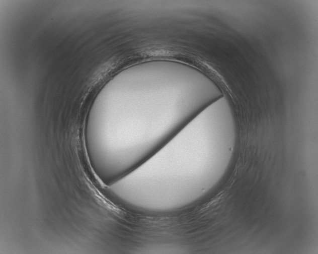 X0000052630725200507011033