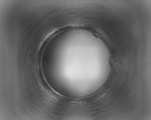 X0000052630727200507011033
