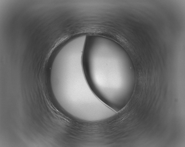 X0000052630731200507011033