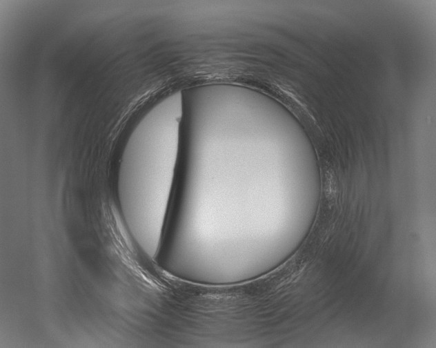 X0000052630733200507011033
