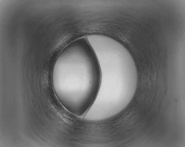 X0000052630735200507011033