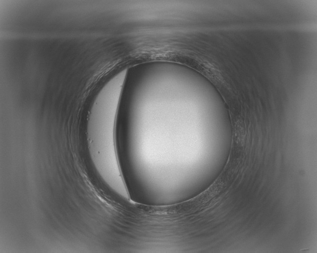 X0000052630740200507011033