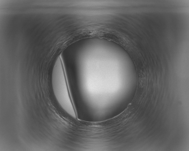 X0000052630748200507011033