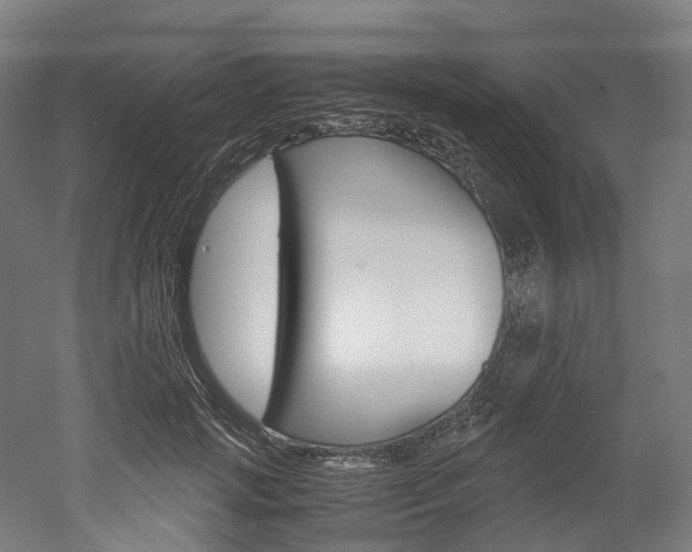 X0000052630749200507011033
