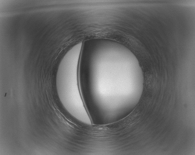 X0000052630752200507011033