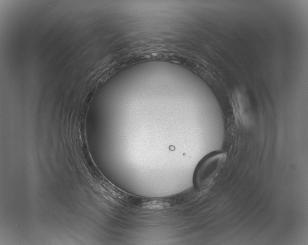 X0000052630754200507011033