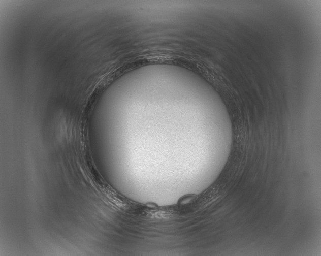 X0000052630755200507011033