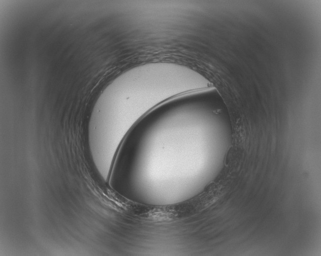 X0000052630756200507011033
