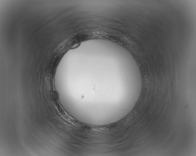 X0000052630757200507011033