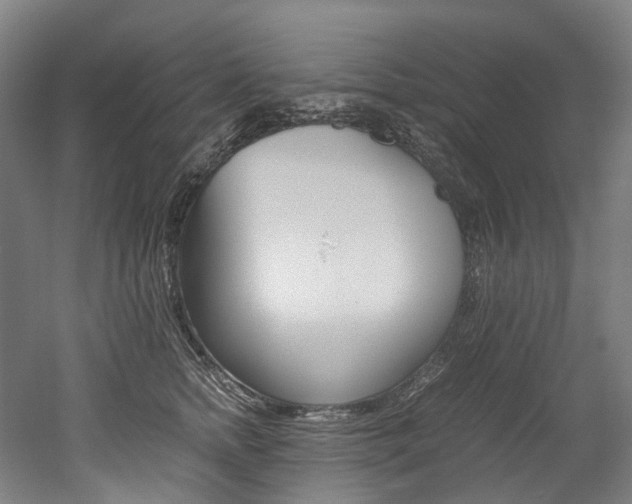 X0000052630758200507011033