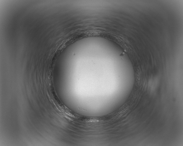 X0000052630759200507011033