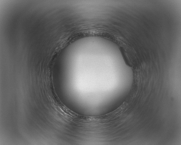 X0000052630760200507011033