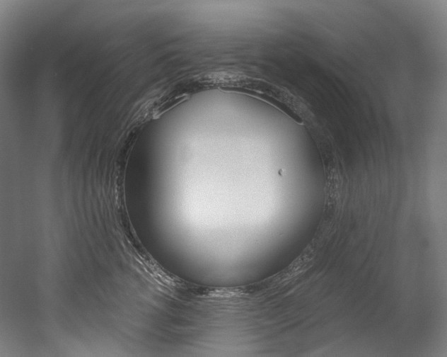 X0000052630762200507011033