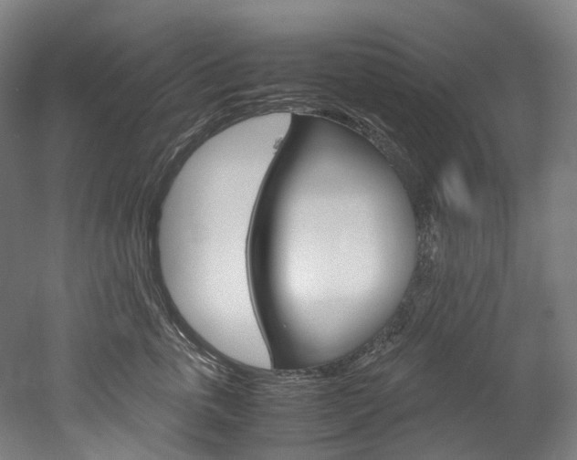 X0000052630763200507011033