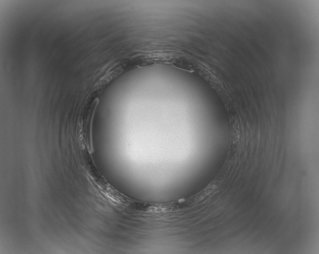 X0000052630764200507011033