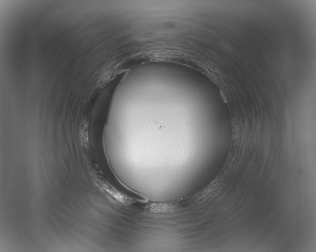 X0000052630766200507011033