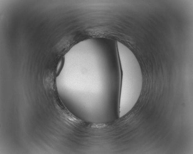 X0000052630767200507011033