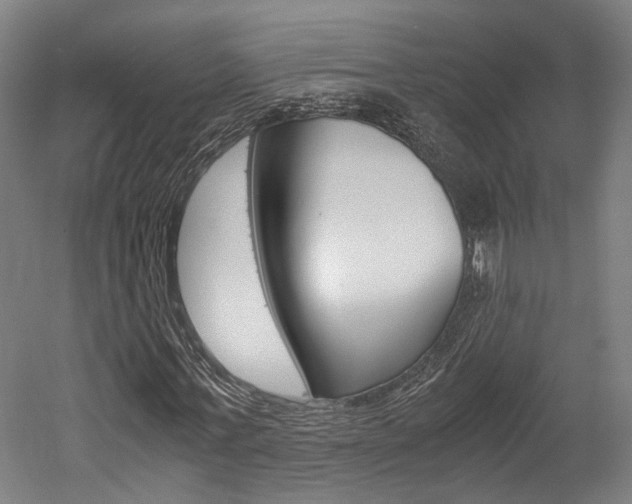 X0000052630771200507011033