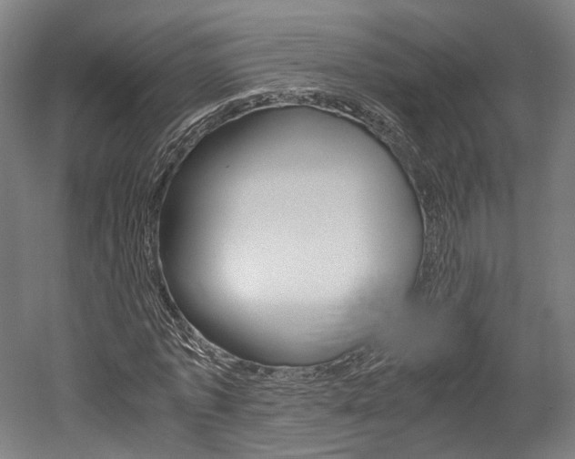 X0000052630773200507011033