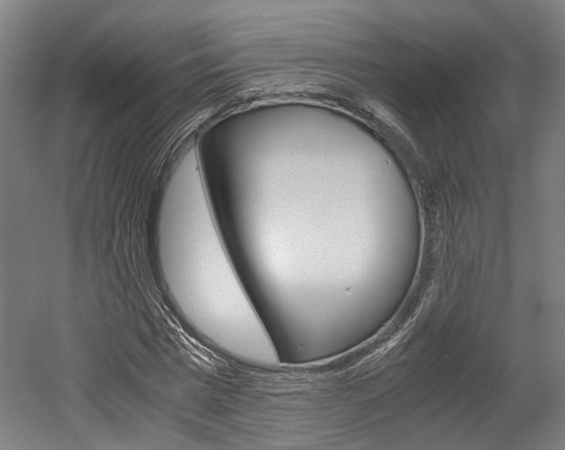 X0000052630777200507011032