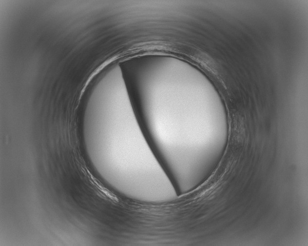 X0000052630782200507011032
