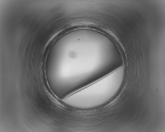 X0000052630783200507011032