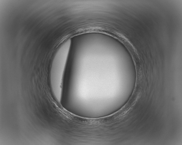 X0000052630785200507011032