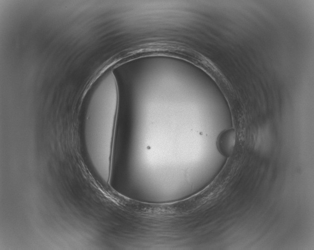 X0000052630786200507011032