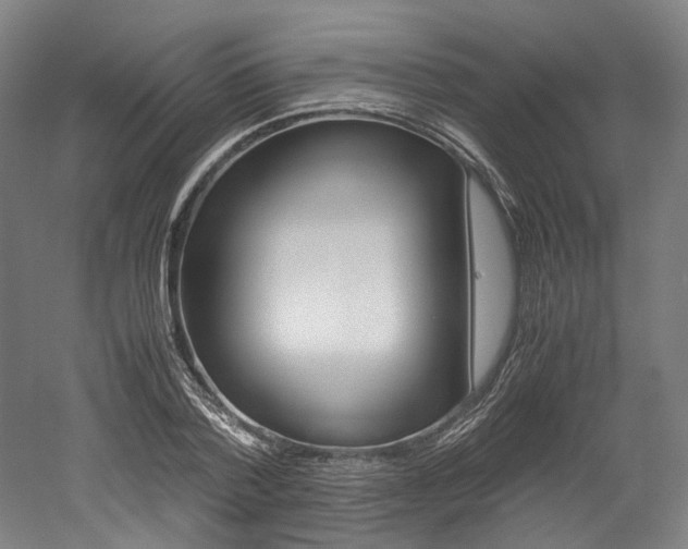 X0000052630788200507011032