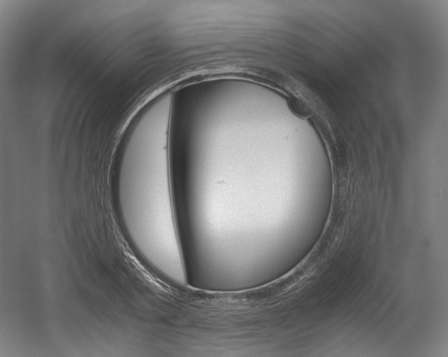 X0000052630789200507011032