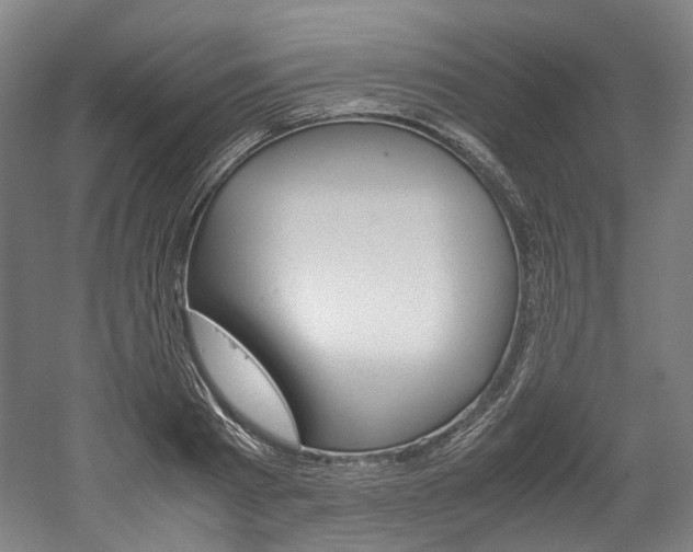 X0000052630793200507011032