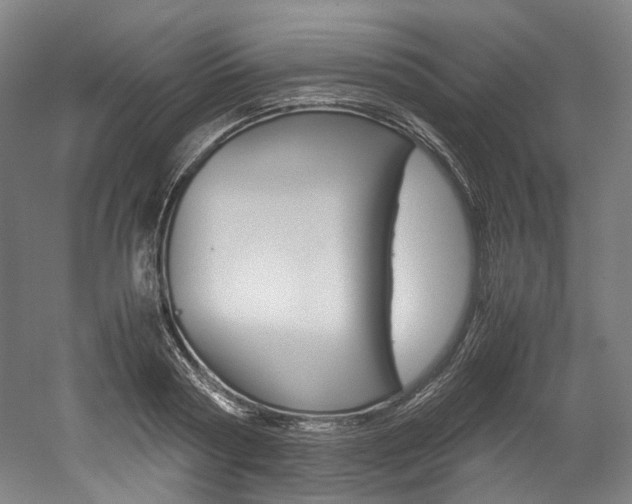 X0000052630794200507011032