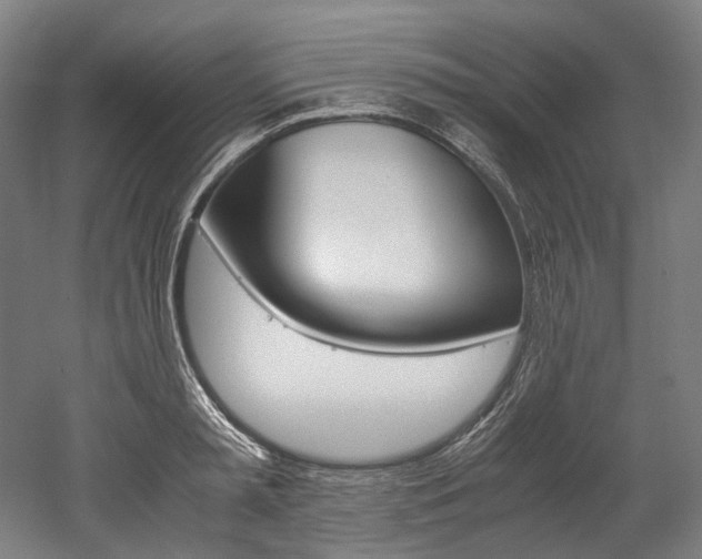 X0000052630797200507011032