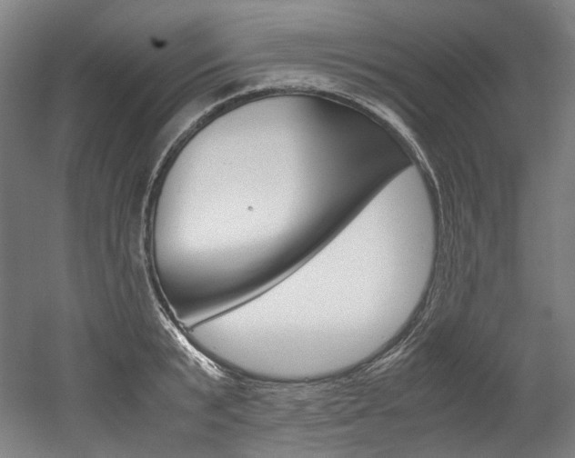 X0000052630799200507011032