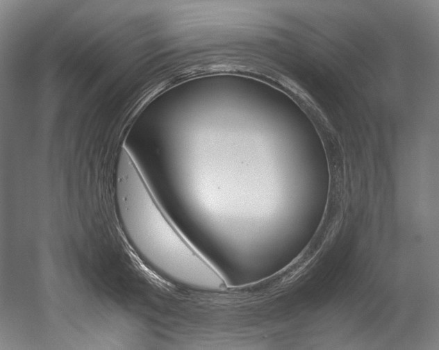 X0000052630801200507011032