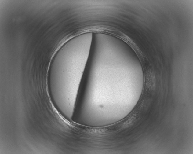 X0000052630802200507011032