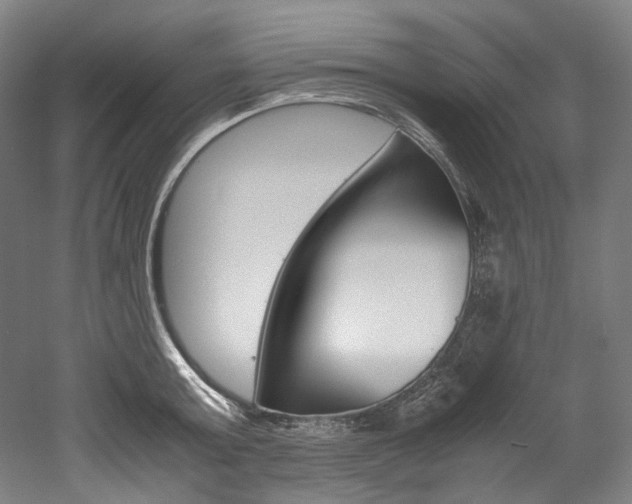 X0000052630803200507011032