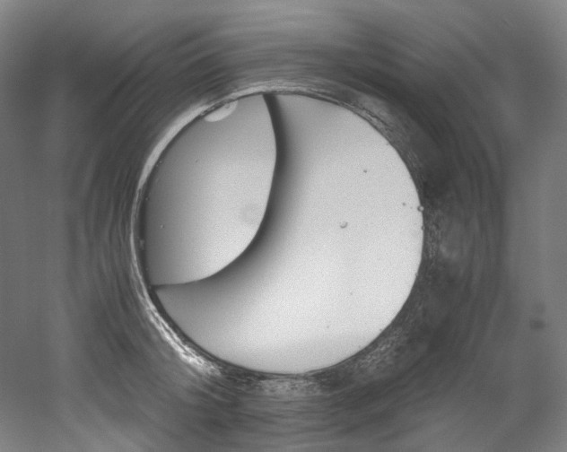 X0000052630804200507011032