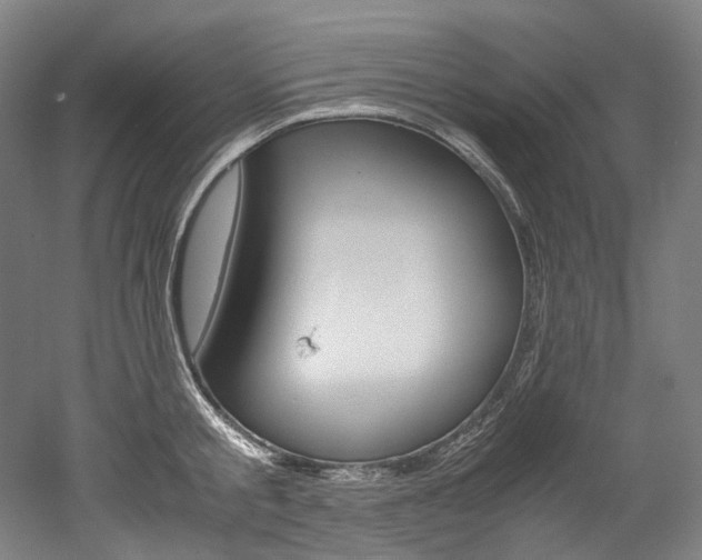 X0000052630805200507011032