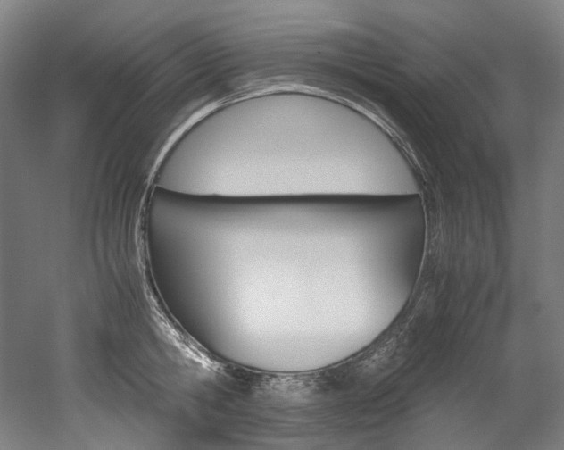 X0000052630806200507011032