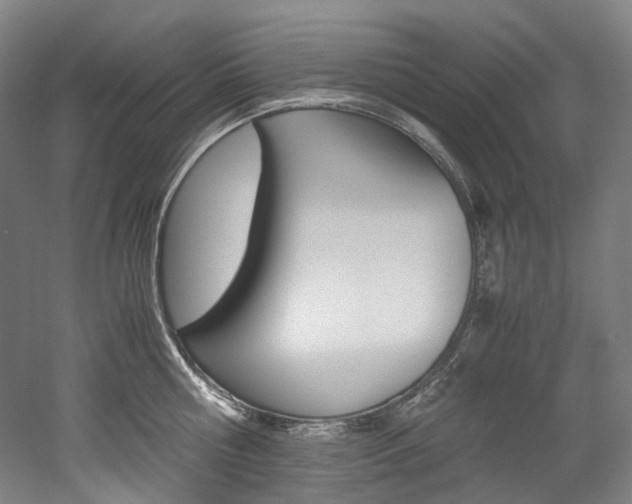 X0000052630810200507011032