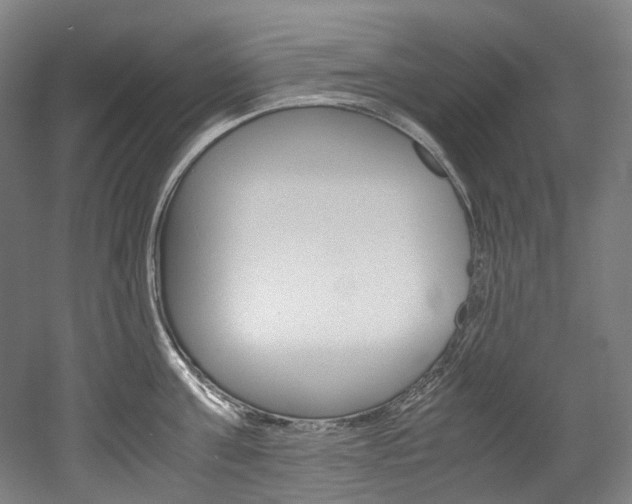 X0000052630811200507011032
