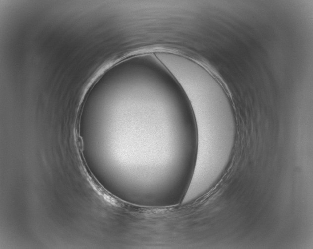 X0000052630813200507011032