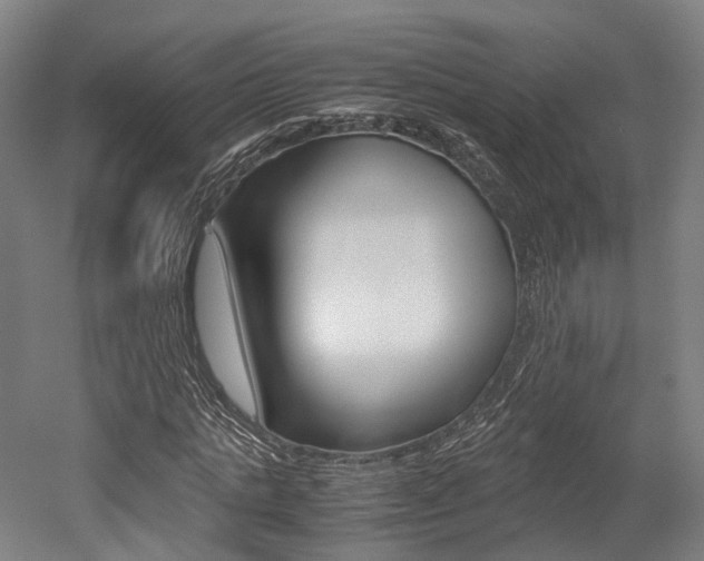 X0000052630821200507011031