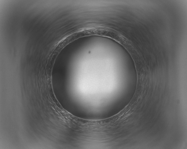 X0000052630822200507011031