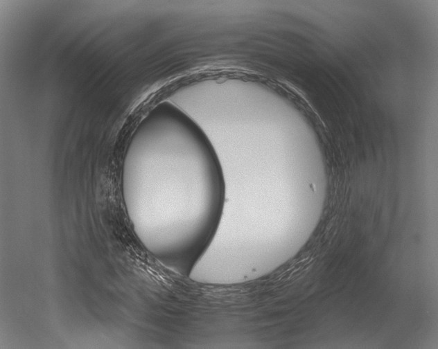 X0000052630823200507011031