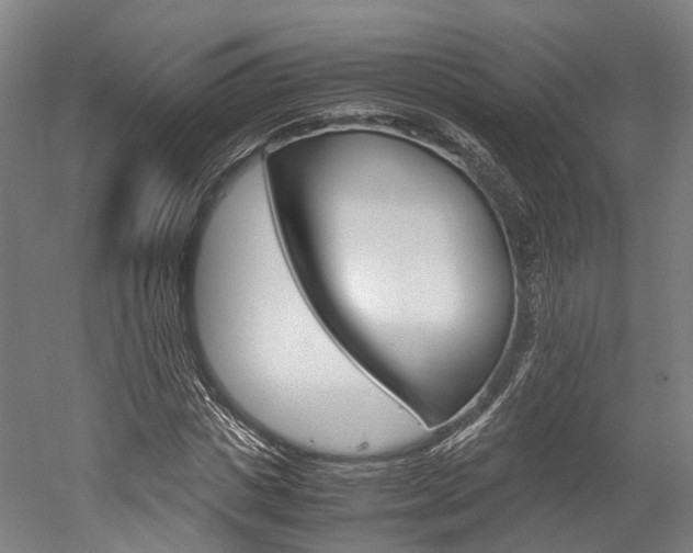 X0000052630825200507011031