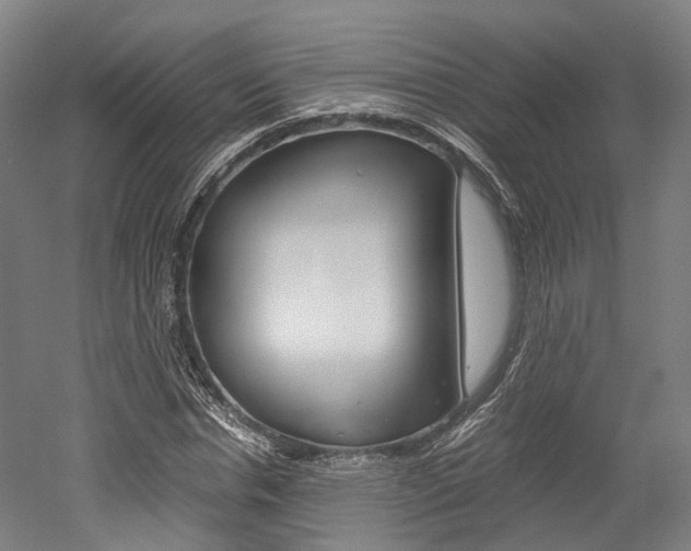 X0000052630826200507011031