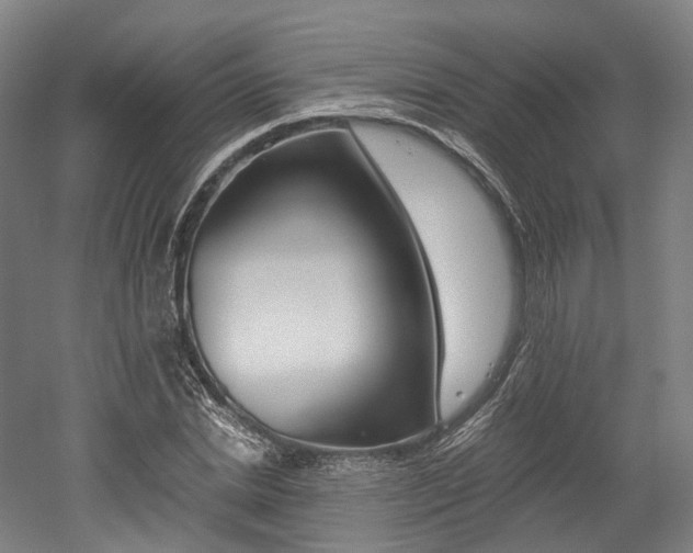 X0000052630830200507011031